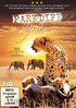 Parklife Afrika (DVD)