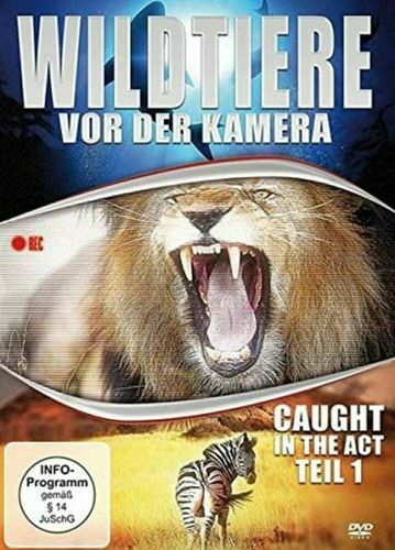 Wildtiere vor der Kamera (DVD)