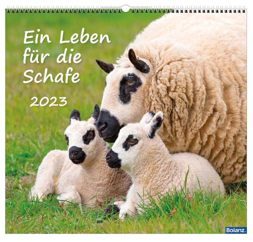 Ein Leben für die Schafe 2023 - Wandkalender