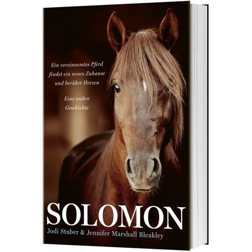 Solomon - Ein vereinsamtes Pferd findet ein neues Zuhause (Stuber &  Bleakley)